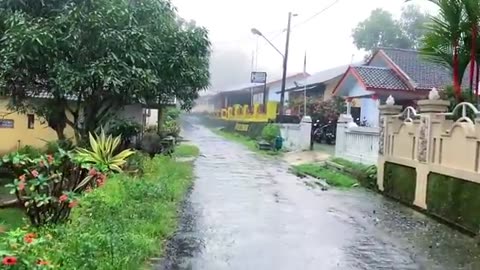 Rain in Foggy Village | Rain Walk | Rain and Village life