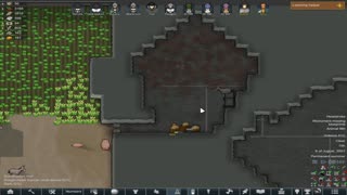 The relentless fighting- Rimworld : ep16 bugkilla