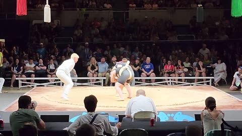 Amazing Women Sumo Wrestlers in Women Sports