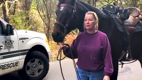 Hero Animals that saved human lives.