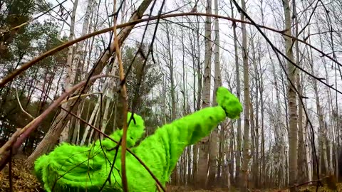 NERF GUN YETI HUNT! We find a Green Gorilla!