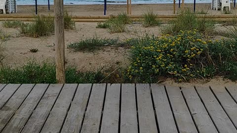 Playa de Peñiscola