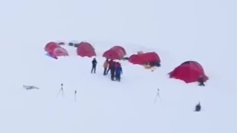 Will they be able to survive in this extreme cold or will they die?