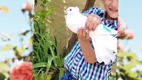 1 year baby playing with pigeon