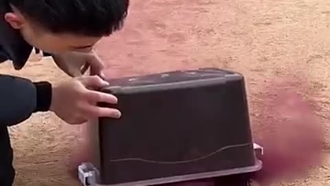 Smoke in a Box