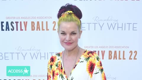 ꧁‘NCIS’’꧂ Pauley Perrette Says She Suffered A ‘Massive Stroke’ A Year Ago🦋
