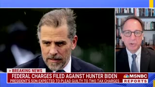 'Very Fair': Lead Mueller Prosecutor Defends Hunter Getting Off Without Any Jail Time