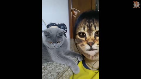 Dogs & Cats Scared Of Cat Mask Filter