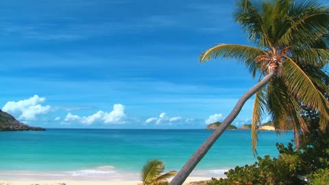 Beach Paradise: 1 Hour of Relaxing Music with Captivating Beach Scenery for Ultimate Serenity