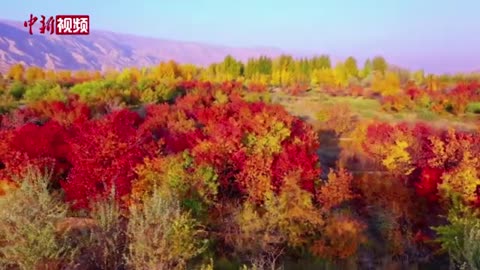 Autumn scenery of the Yellow River in Qinghai Province