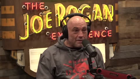 Tulsi Gabbard On Corruption in the FBI Joe Rogan