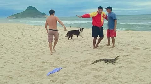 Guy Saving Gator Uses it as a Shield in Fight