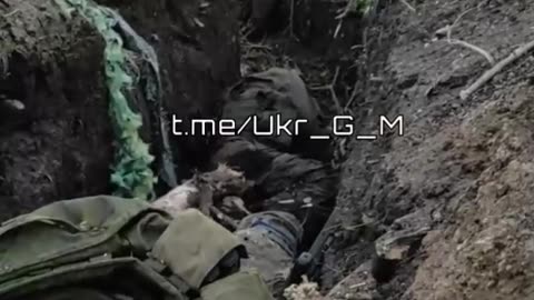 More dead ukraine soldiers