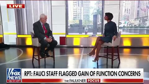 Newt Gingrich On Fauci