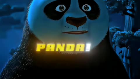 Kung fu panda 🐼