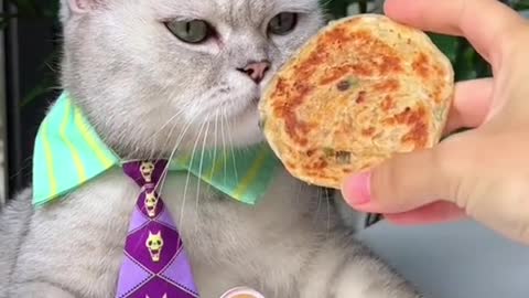 Big Mac pancake #kittygod_cn #foodtiktok #catlover #catsoftiktok