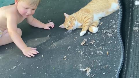 Cat Doesn't Mind Being Bounced By Kiddo