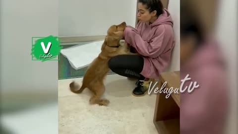 Rashmika Mandanna Playing With Her Pet Dog