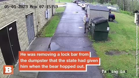 A BEAR-Y Strange Encounter! West Virginia Principle Startled by Bear in Dumpster