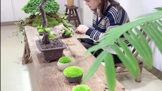 Creative Moss Micro Landscape Idea , Diy Micro Landscape Design For Home