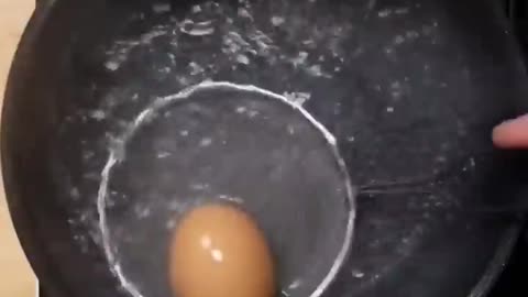 Egg