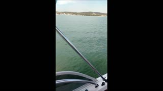 Family Circled By Great White Shark While Boating On Lake