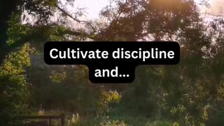 Cultivate discipline and