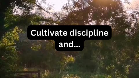 Cultivate discipline and
