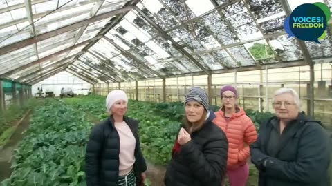 VFF Community Greenhouses - An Interview With Some of The Growers