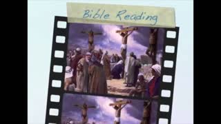 August 4th Bible Readings