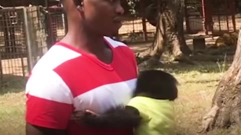 Woman Goes Undercover To Save Baby Chimp's Life | The Dodo Endangered Species Day