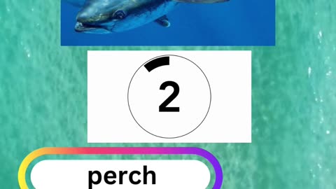 Fish Frenzy 12 A fast-paced quiz short