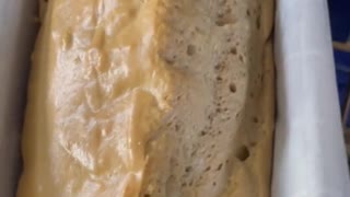 3 Ingredient Gluten Free Bread With Recipe