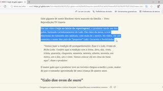 Criação de galos gigantes que medem mais de 1 metro no ES chama a atenção;