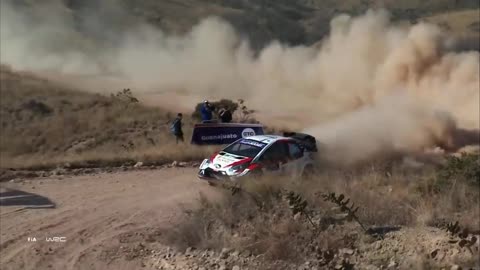 Best Rally Reaction and Crash 2020