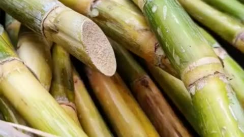 2 Benefits of Sugarcane