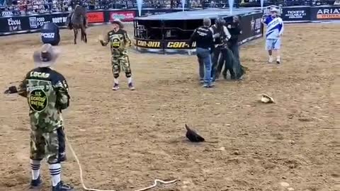 Mad bull rider