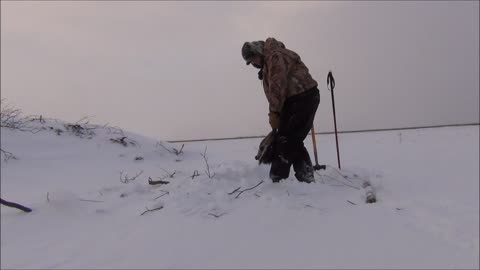 Beaver Snaring Under Ice in Alaska With yukonjeff