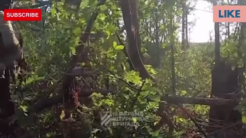 Shocking video from Ukraine: Ukrainian soldiers captured 8 Russian soldiers after a fierce attack