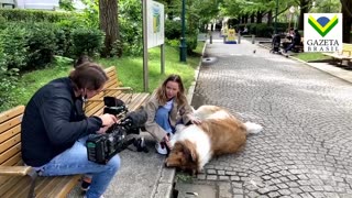 Japonês que gastou R$ 72 mil em fantasia realista de cachorro faz 1º passeio na rua