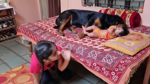 Jerry and Aaru are made for each other |Dog protecting baby
