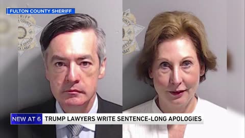 Apology letters by Sidney Powell & Kenneth Chesebro in Georgia election case are one sentence long