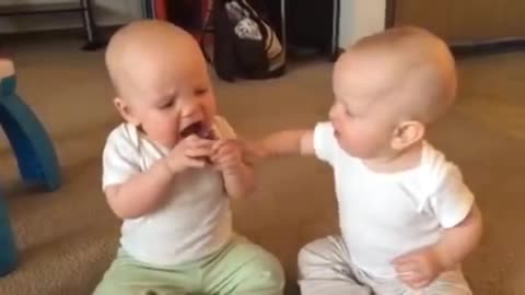 Twins Baby Girls Fight Over Pacifier