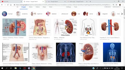 MANDELA EFFECT KIDNEYS LIVER AND HEART POSITION CHANGES