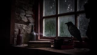 O Enigmático Pássaro Preto: Uma Janela para o Mistério e a Conexão Espiritual