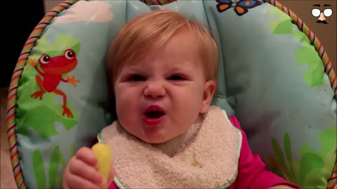 Funny babies eating lemons 😂