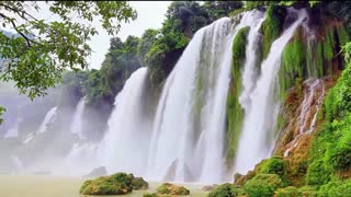 Rainforest Sounds Relaxing Nature and Calming Water Sounds