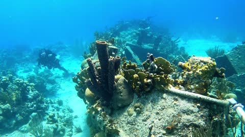 shallow wreck Curacao