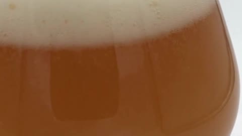Equilibrium Mc2 DIPA Craft Beer Brew Review