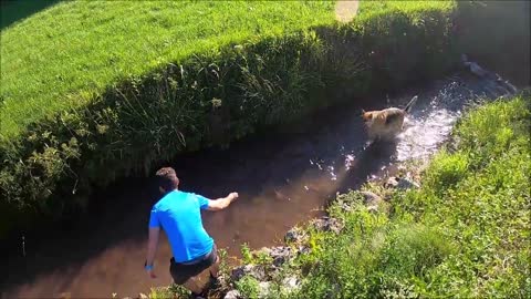 water in the dog training